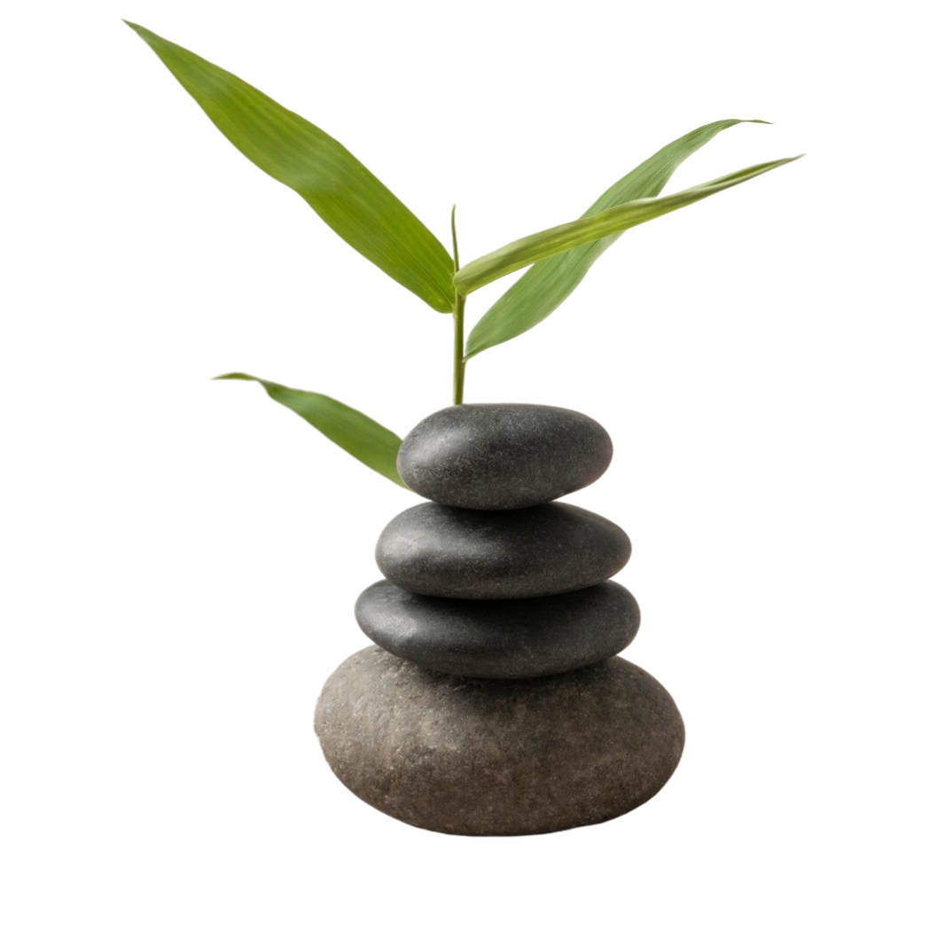 Wellness & Lifestyle
